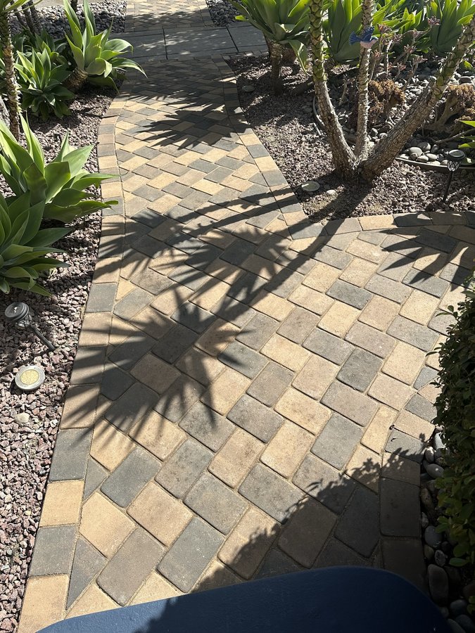 Paver walkway with succulent landscaping