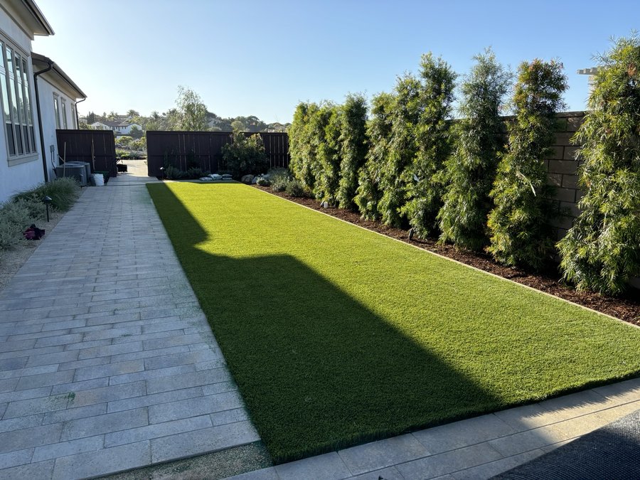 Turf and paver driveway with hedges